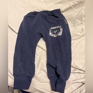 Dark blue pants with a lion on it